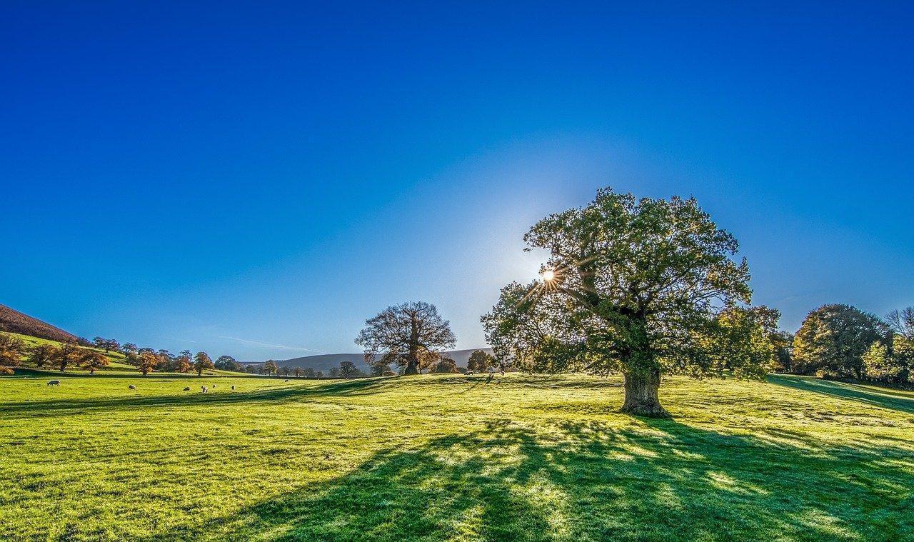 WE MEET AGAIN: Charging Ahead to Blue Skies