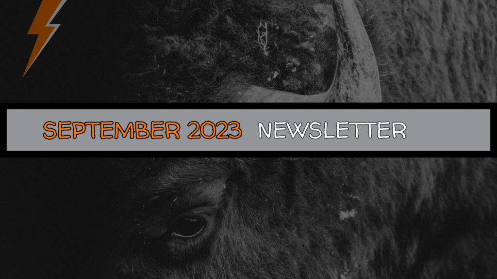 The BuffaLowdown | CultureShoc’s September 2023 Newsletter