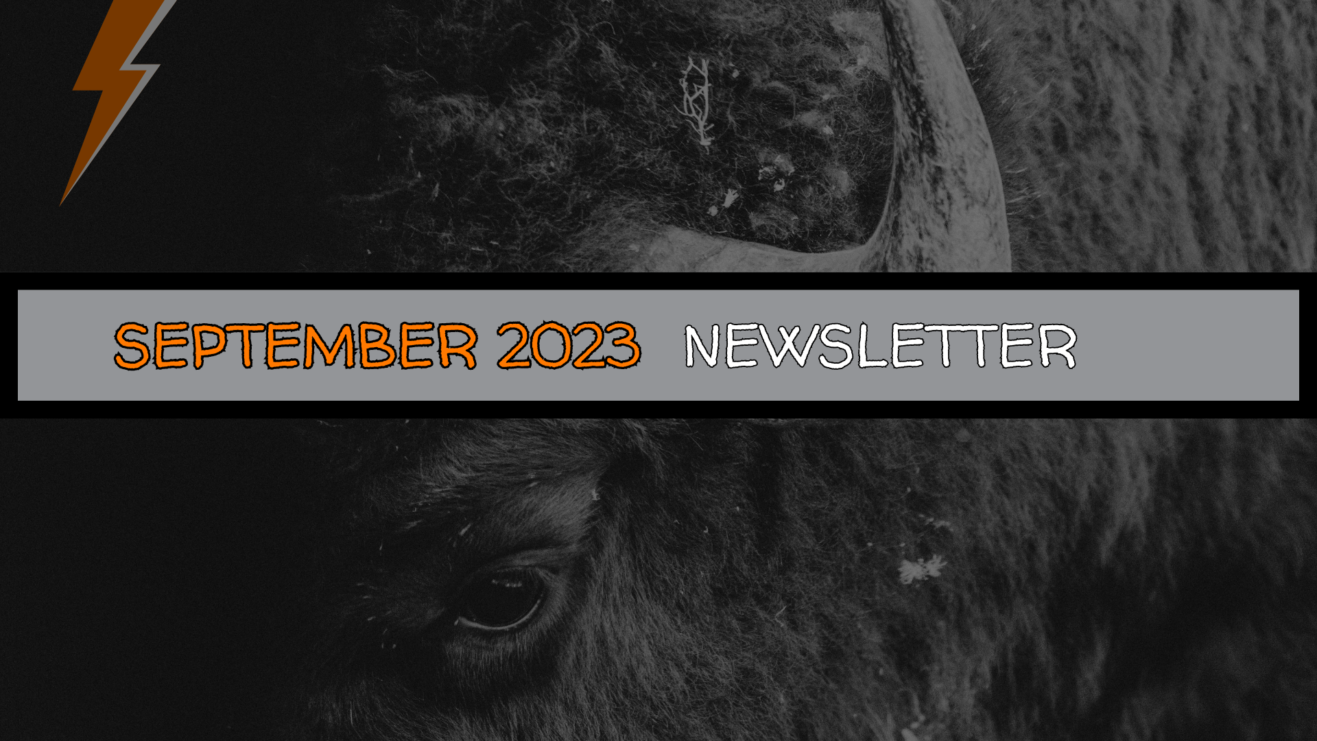 The BuffaLowdown | CultureShoc’s September 2023 Newsletter